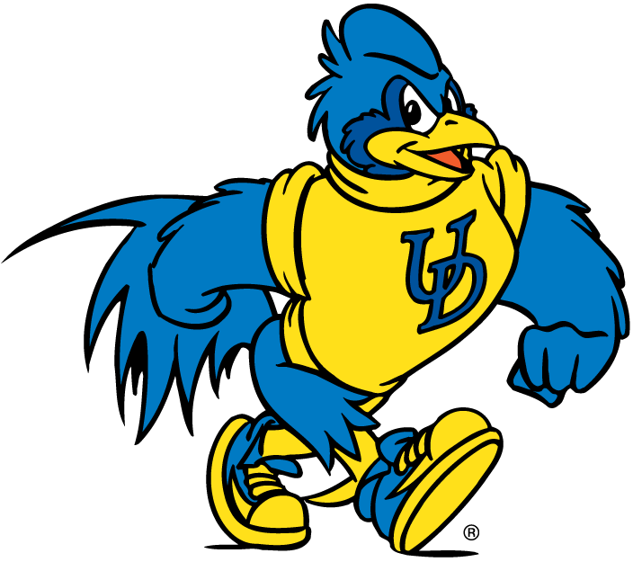 delaware blue hens 1993-pres mascot Logo v5 iron on transfers for clothing